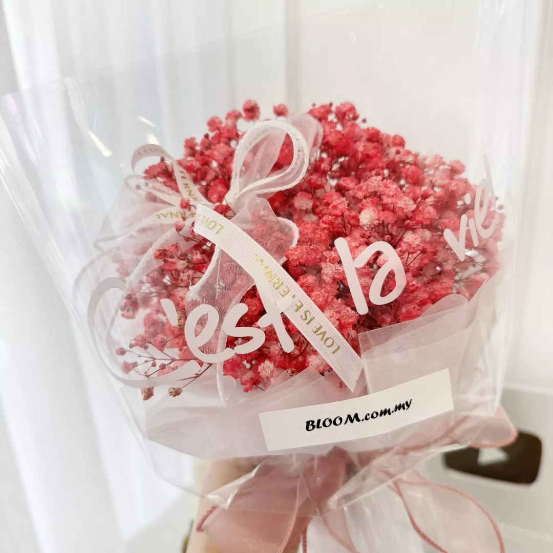 Valentine Special Promotion 02