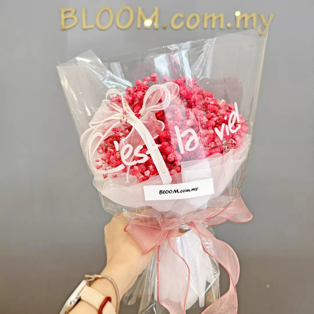 Valentine Special Promotion 02