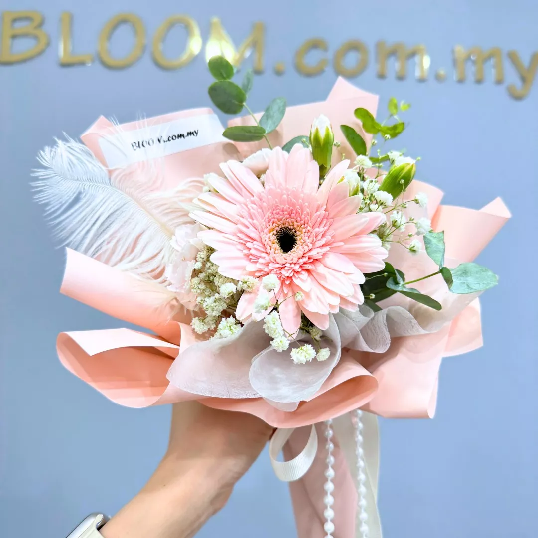 Valentine Special Promotion 03