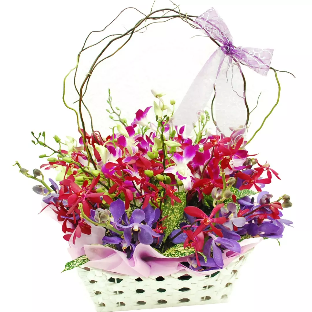 Flower Basket 06