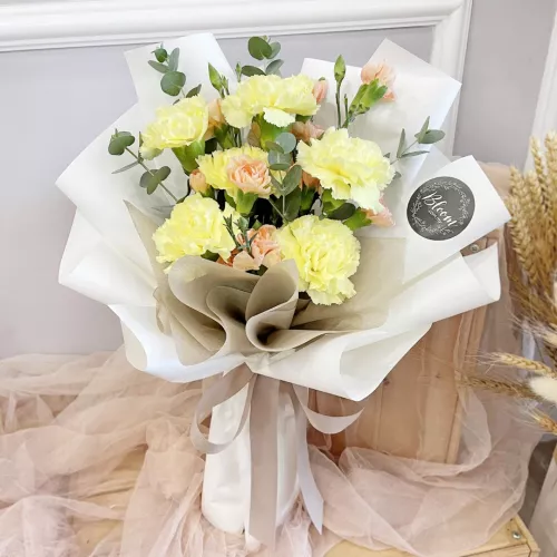 Carnation Hand Bouquet 04