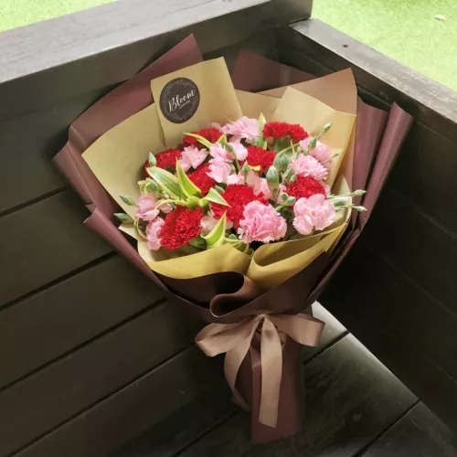 Carnation Hand Bouquet 05