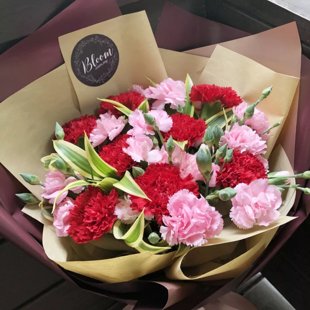 Carnation Hand Bouquet 05