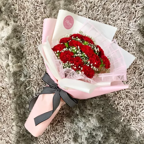 Carnation Hand Bouquet 10