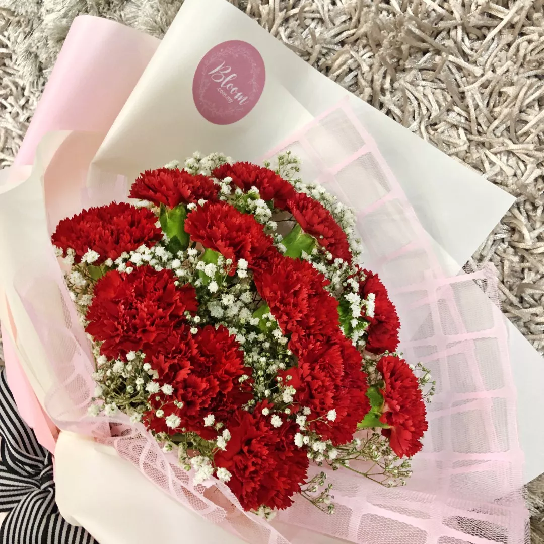 Carnation Hand Bouquet 10