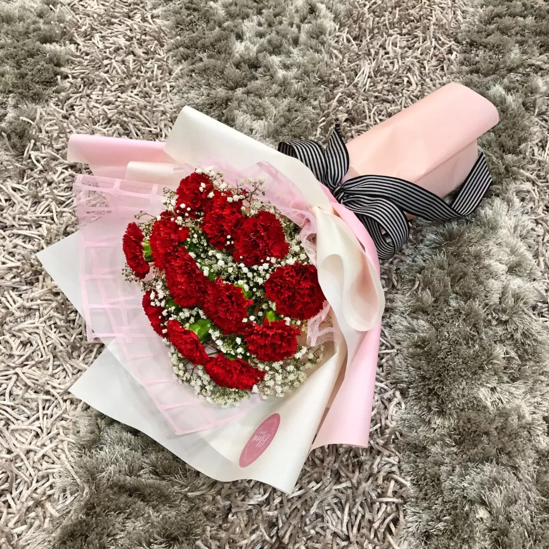 Carnation Hand Bouquet 10