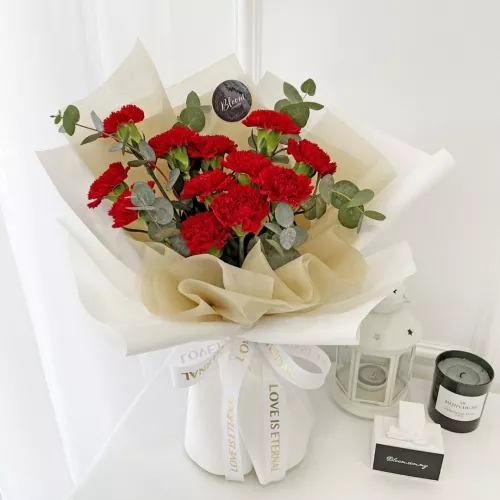Carnation Hand Bouquet 12