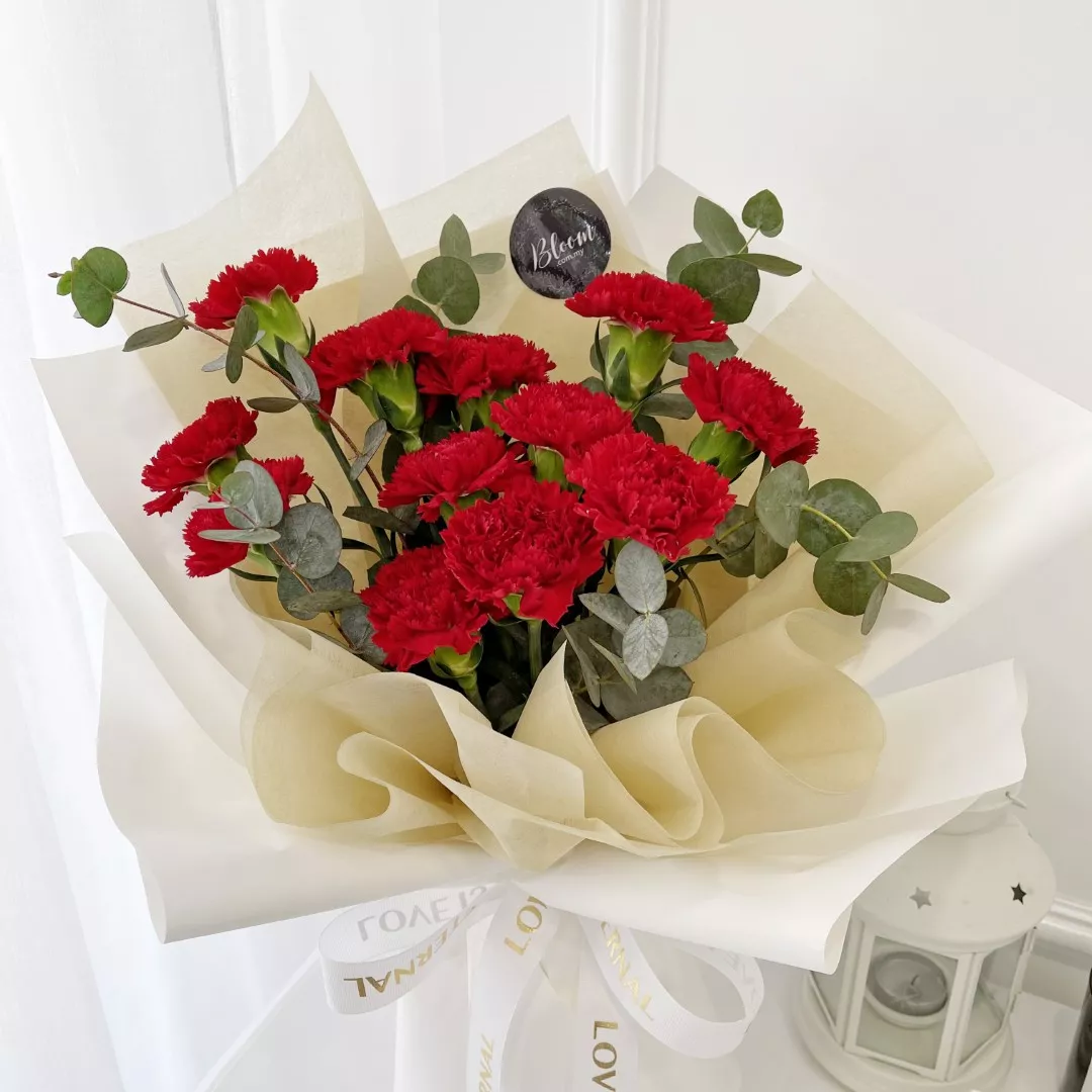 Carnation Hand Bouquet 12