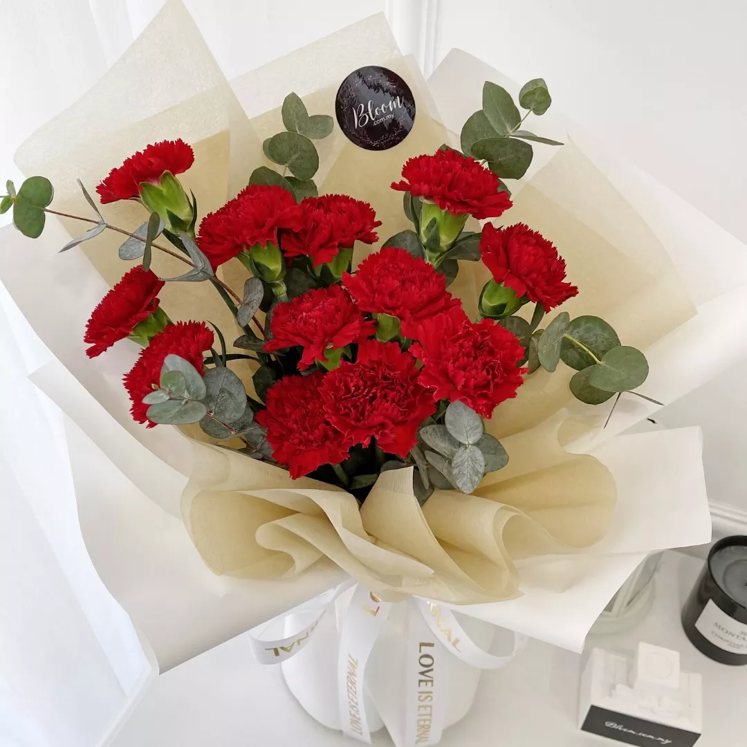 Carnation Hand Bouquet 12