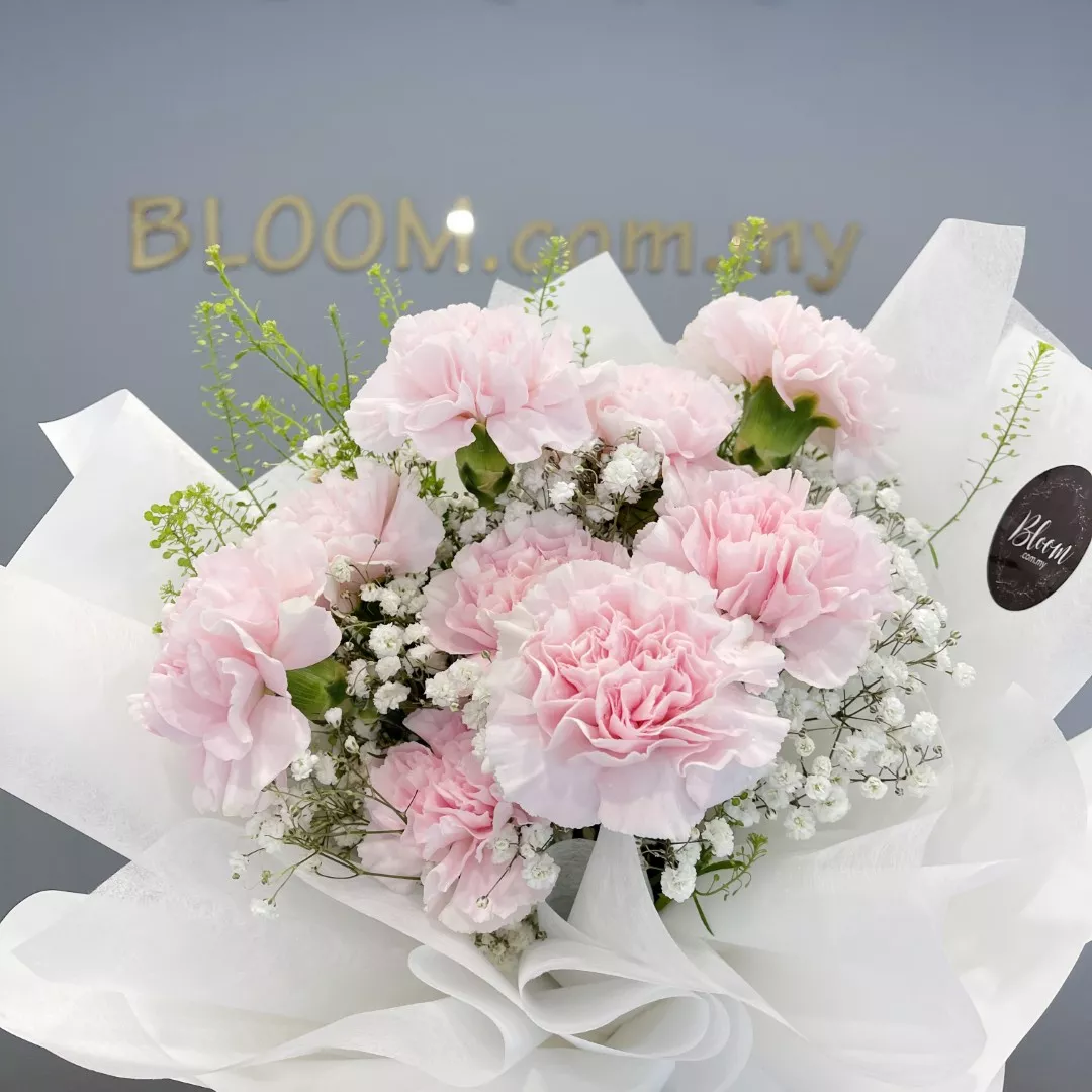 Carnation Hand Bouquet 13