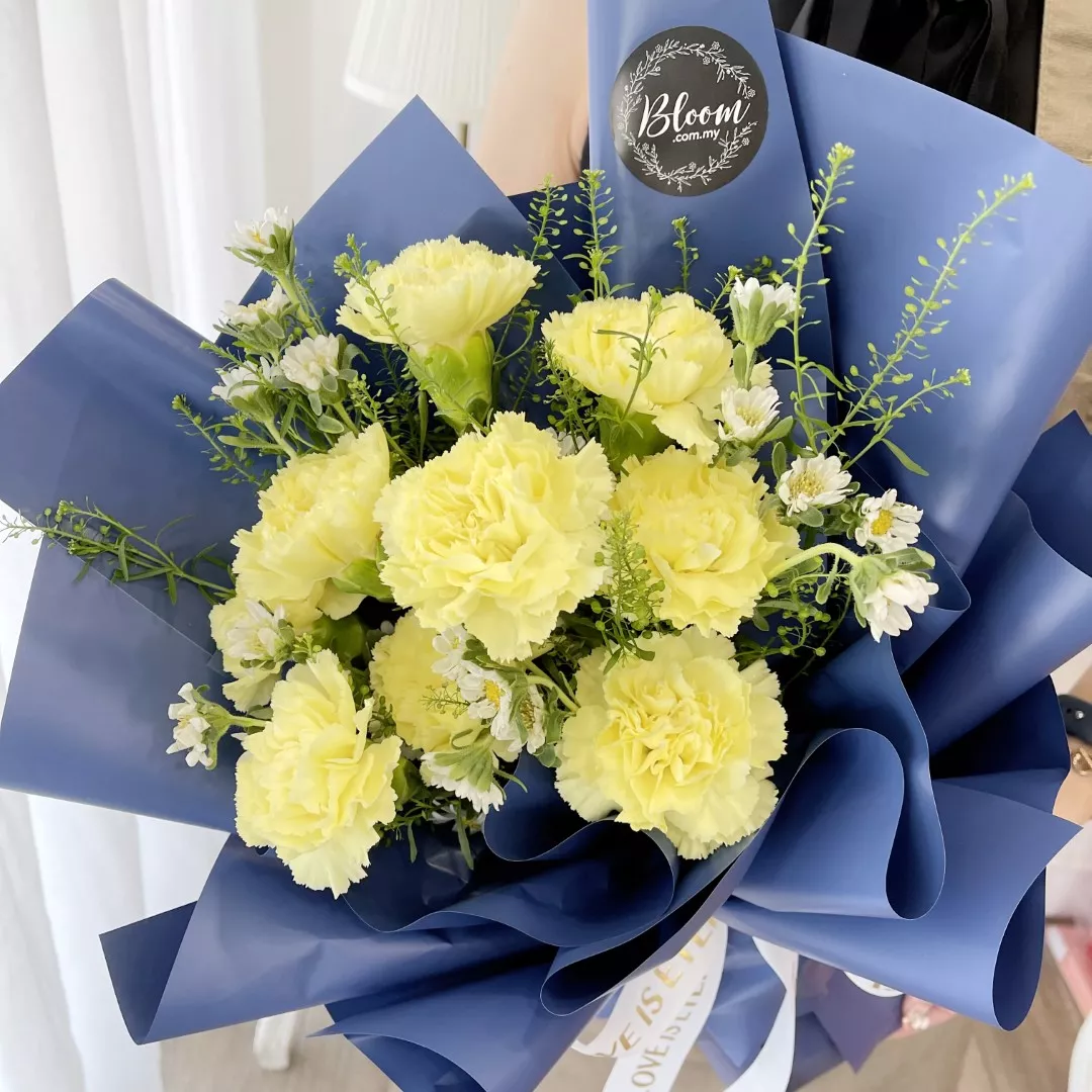 Carnation Hand Bouquet 19