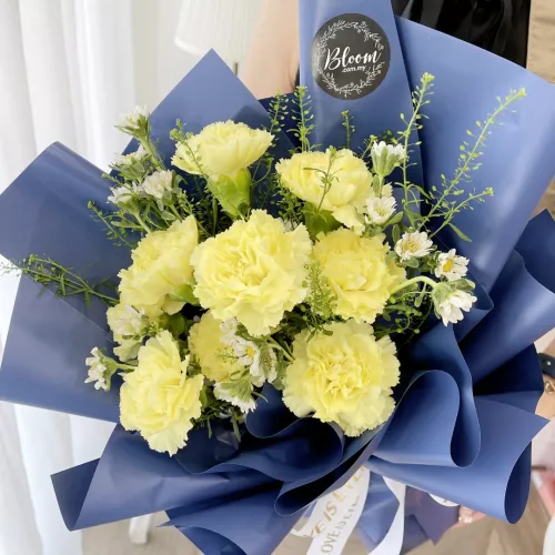 Carnation Hand Bouquet 19