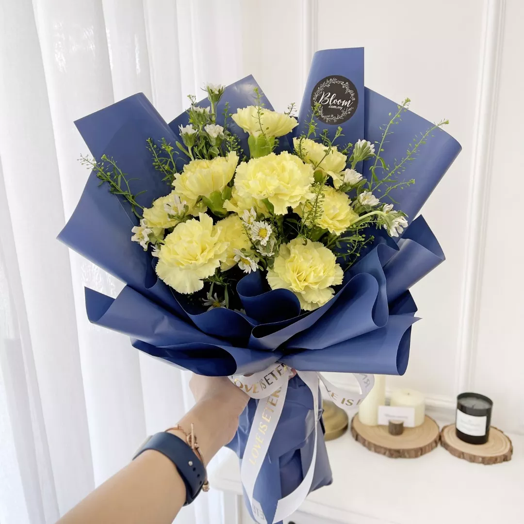 Carnation Hand Bouquet 19