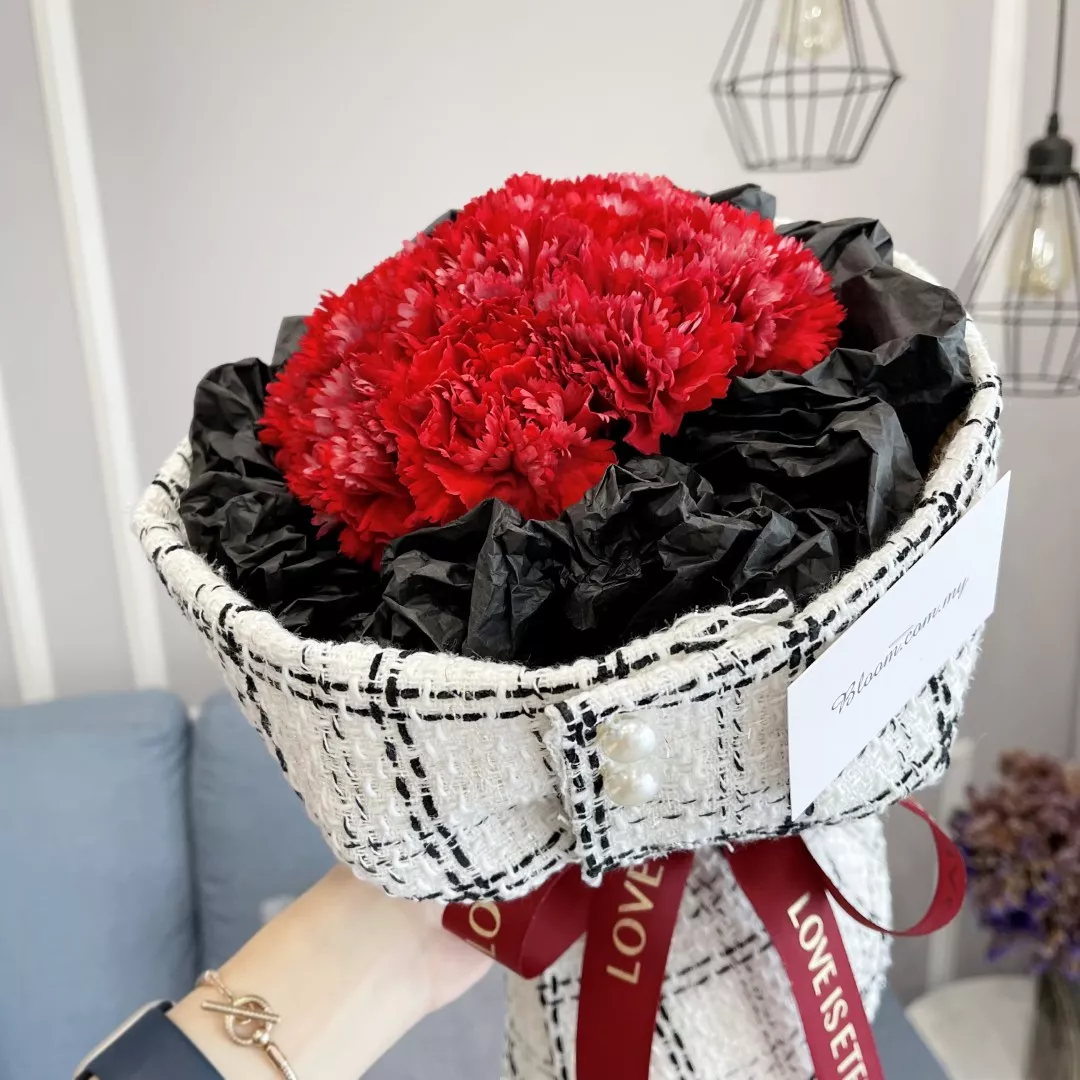 Carnation Hand Bouquet 20