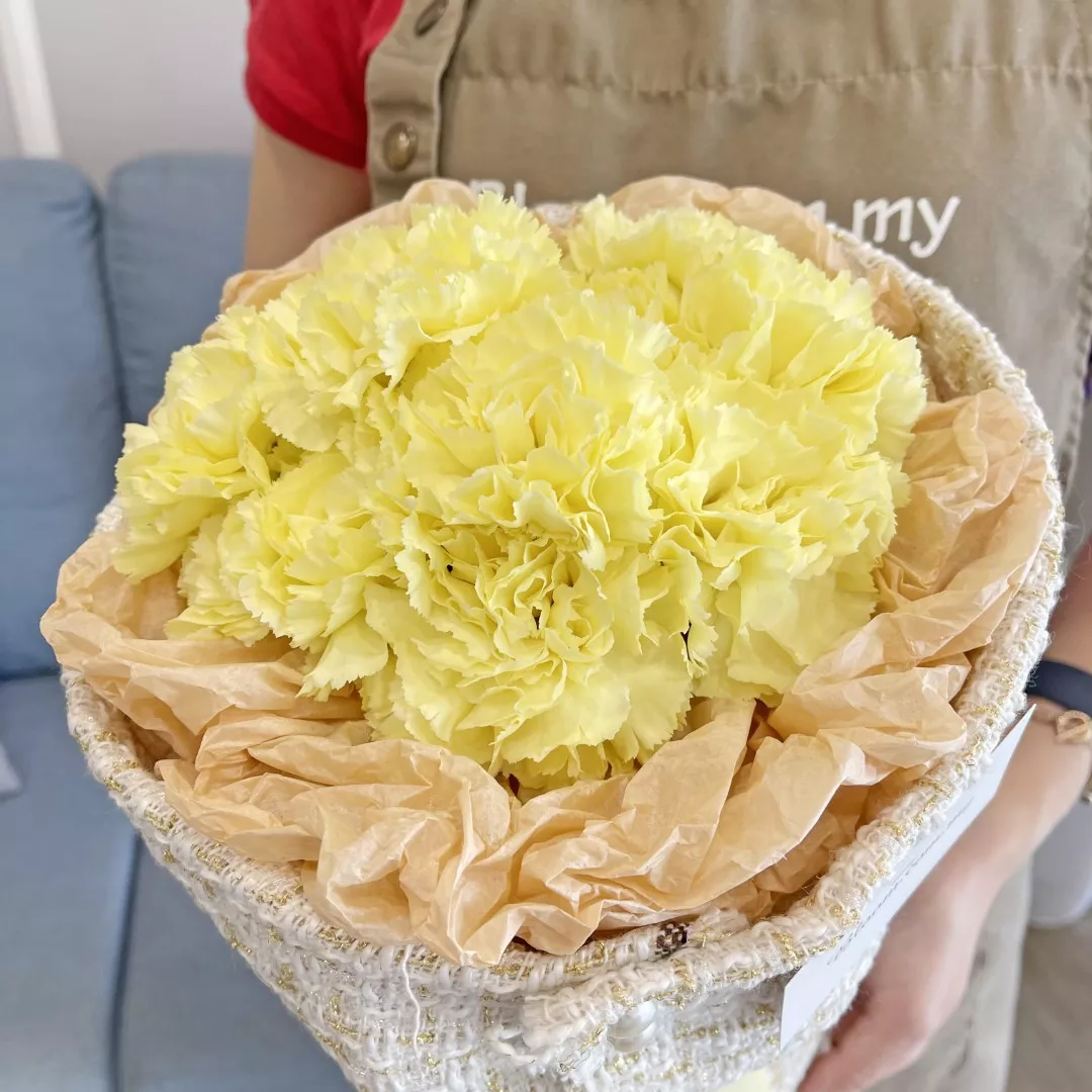 Carnation Hand Bouquet 21