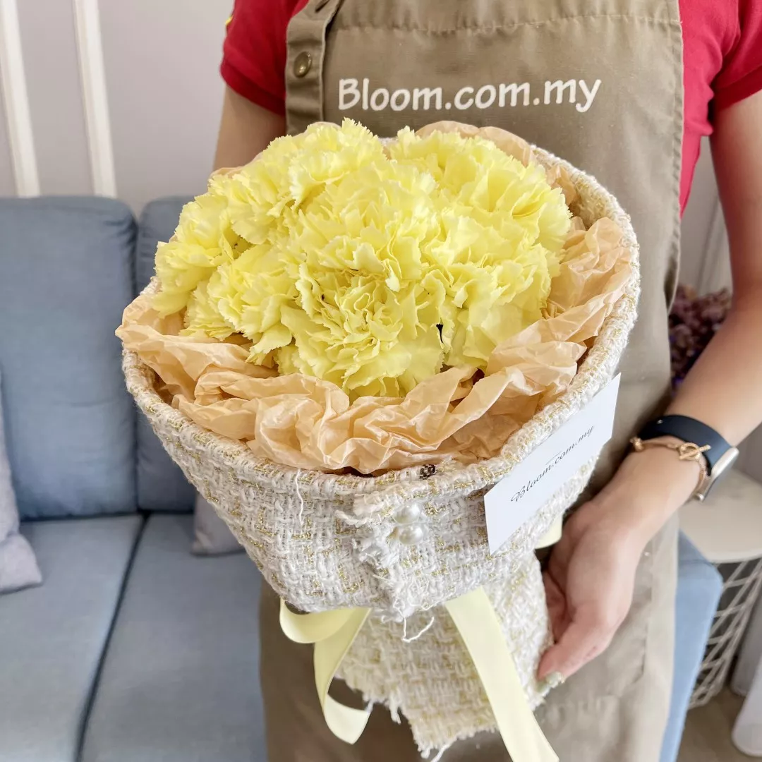 Carnation Hand Bouquet 21