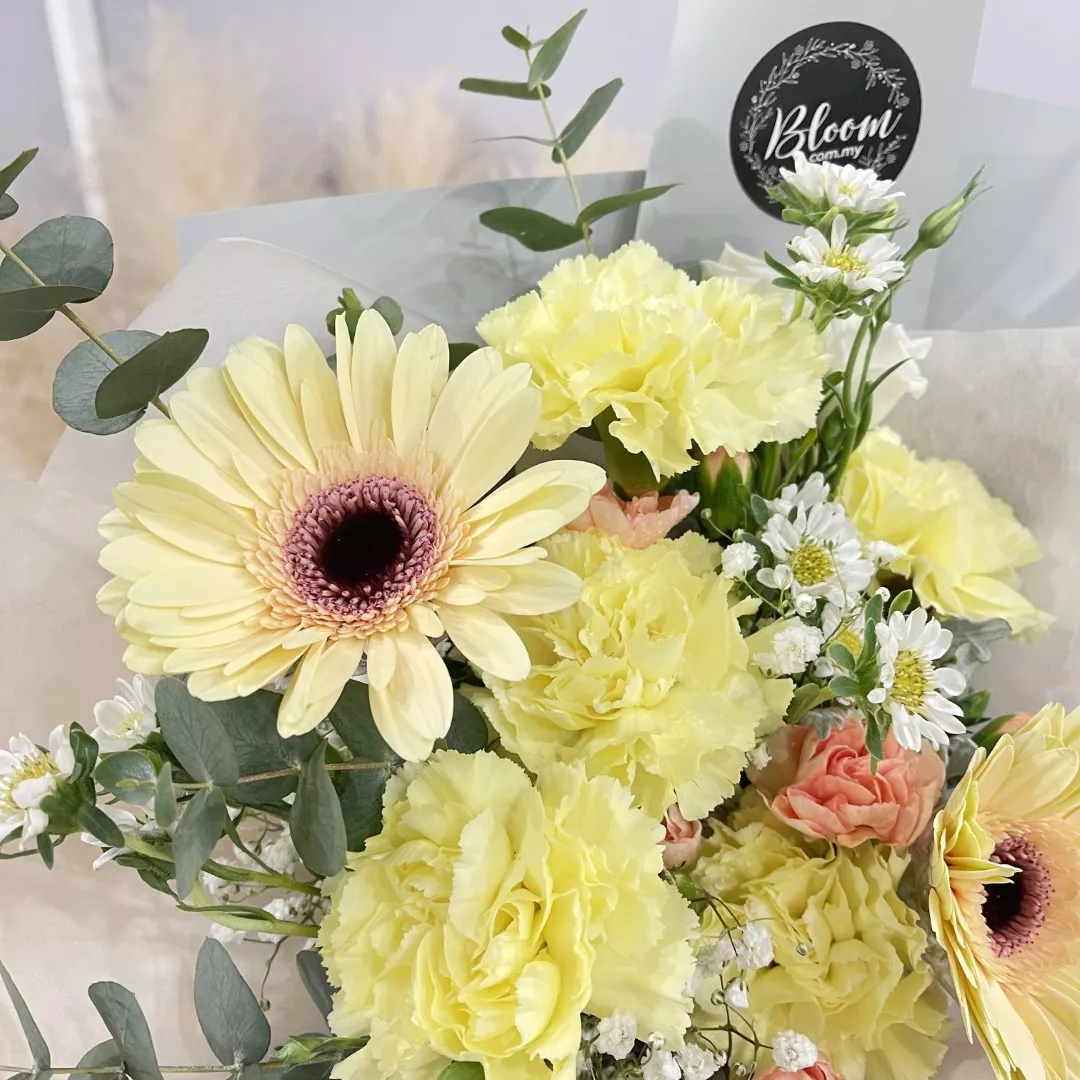 Carnation Hand Bouquet 23