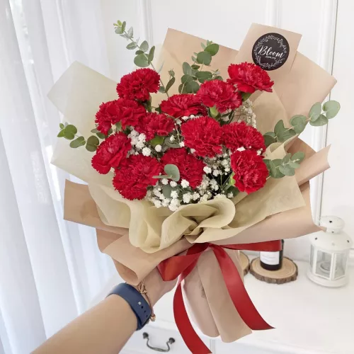 Carnation Hand Bouquet 24