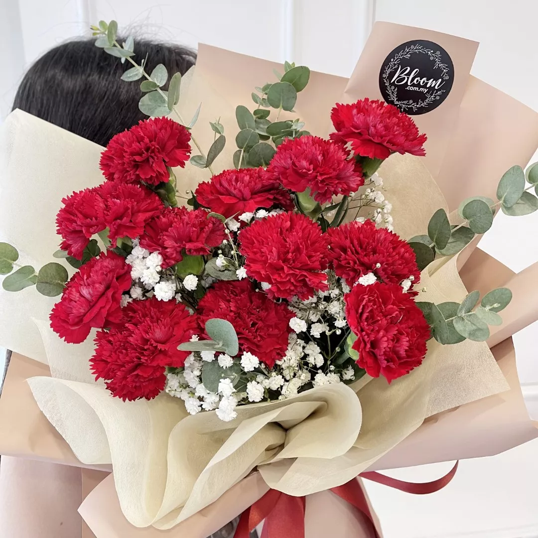 Carnation Hand Bouquet 24