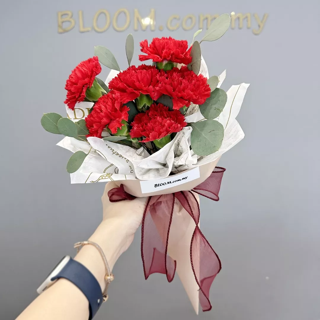 Carnation Hand Bouquet 25