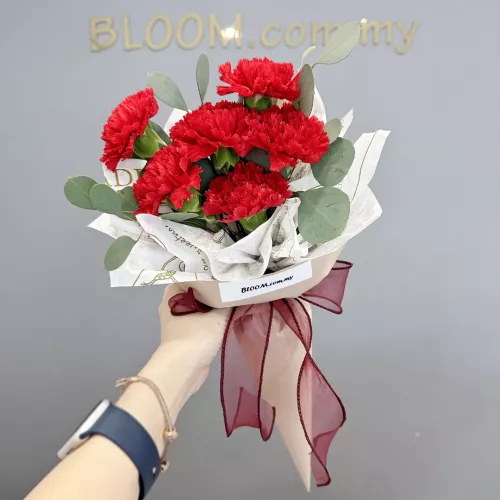 Carnation Hand Bouquet 25