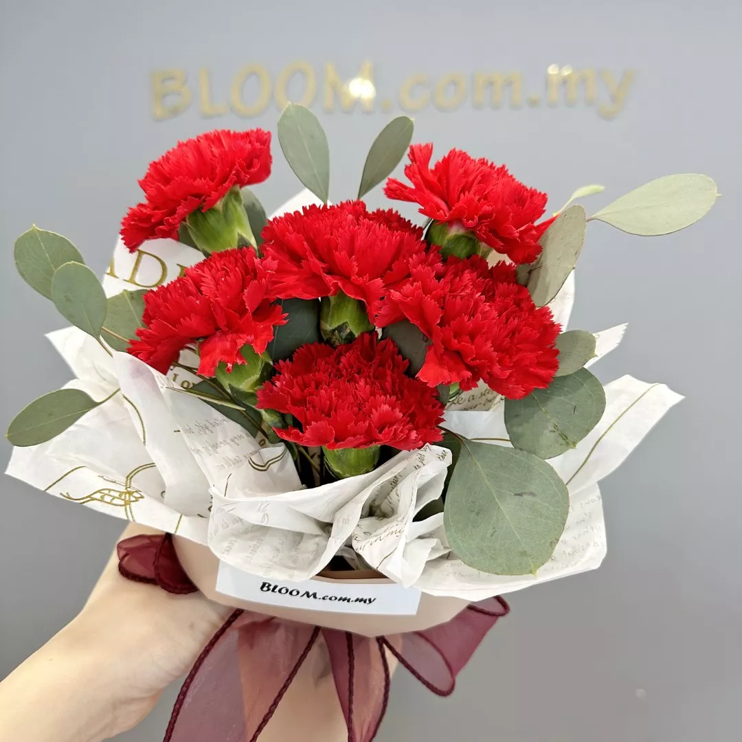 Carnation Hand Bouquet 25