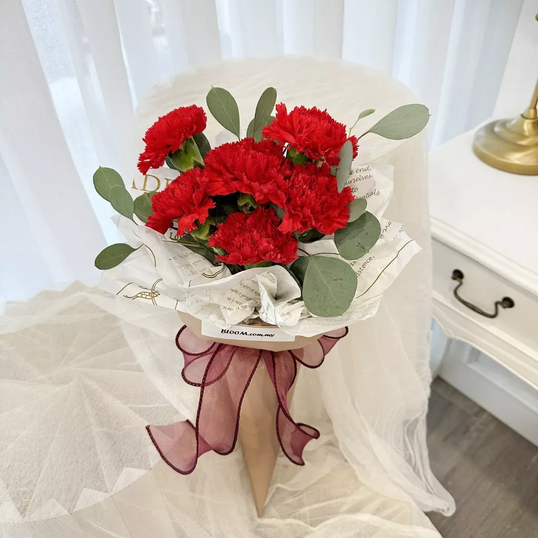 Carnation Hand Bouquet 25