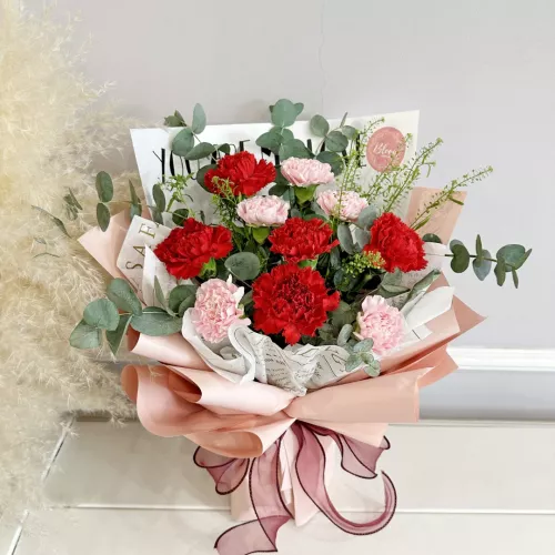 Carnation Hand Bouquet 28