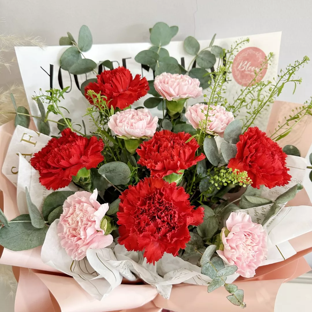 Carnation Hand Bouquet 28