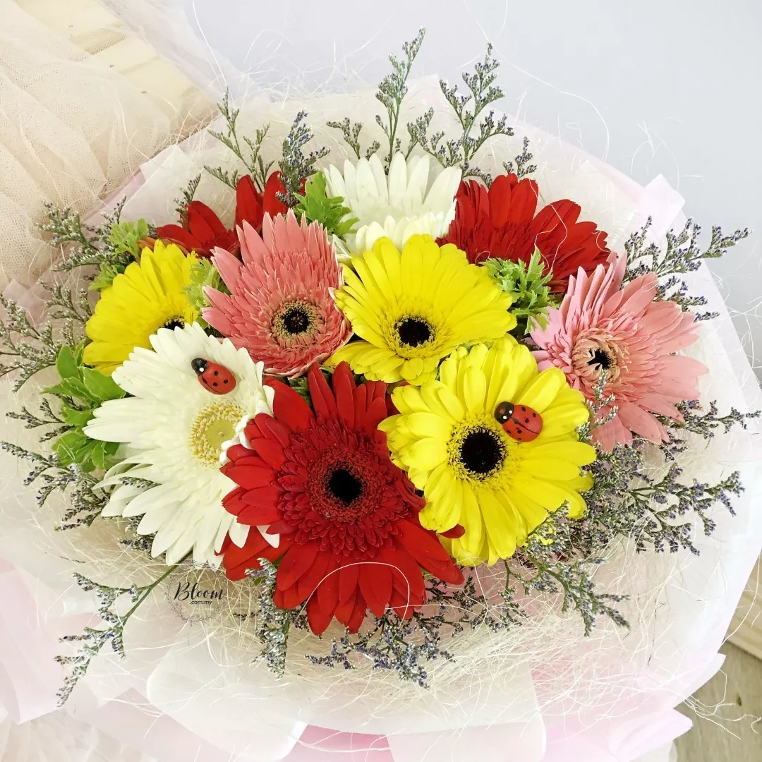 Gerbera Hand Bouquet 08
