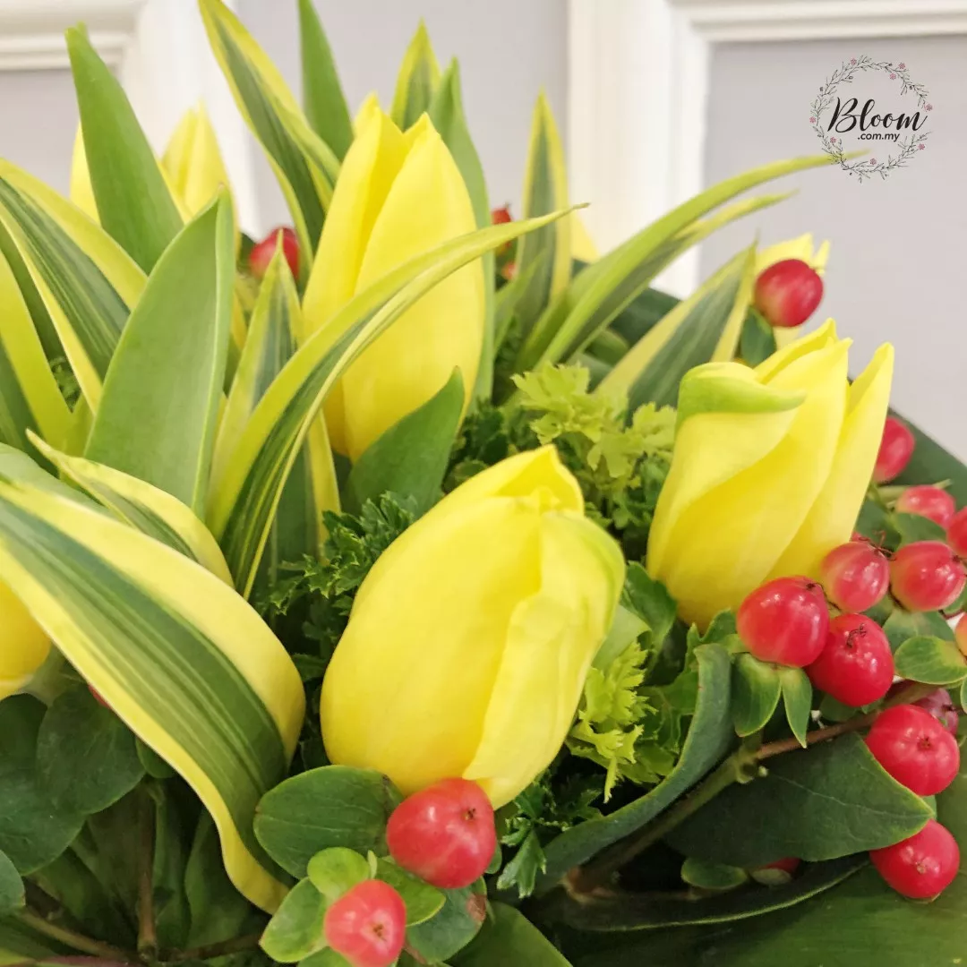 Tulip Hand Bouquet 01