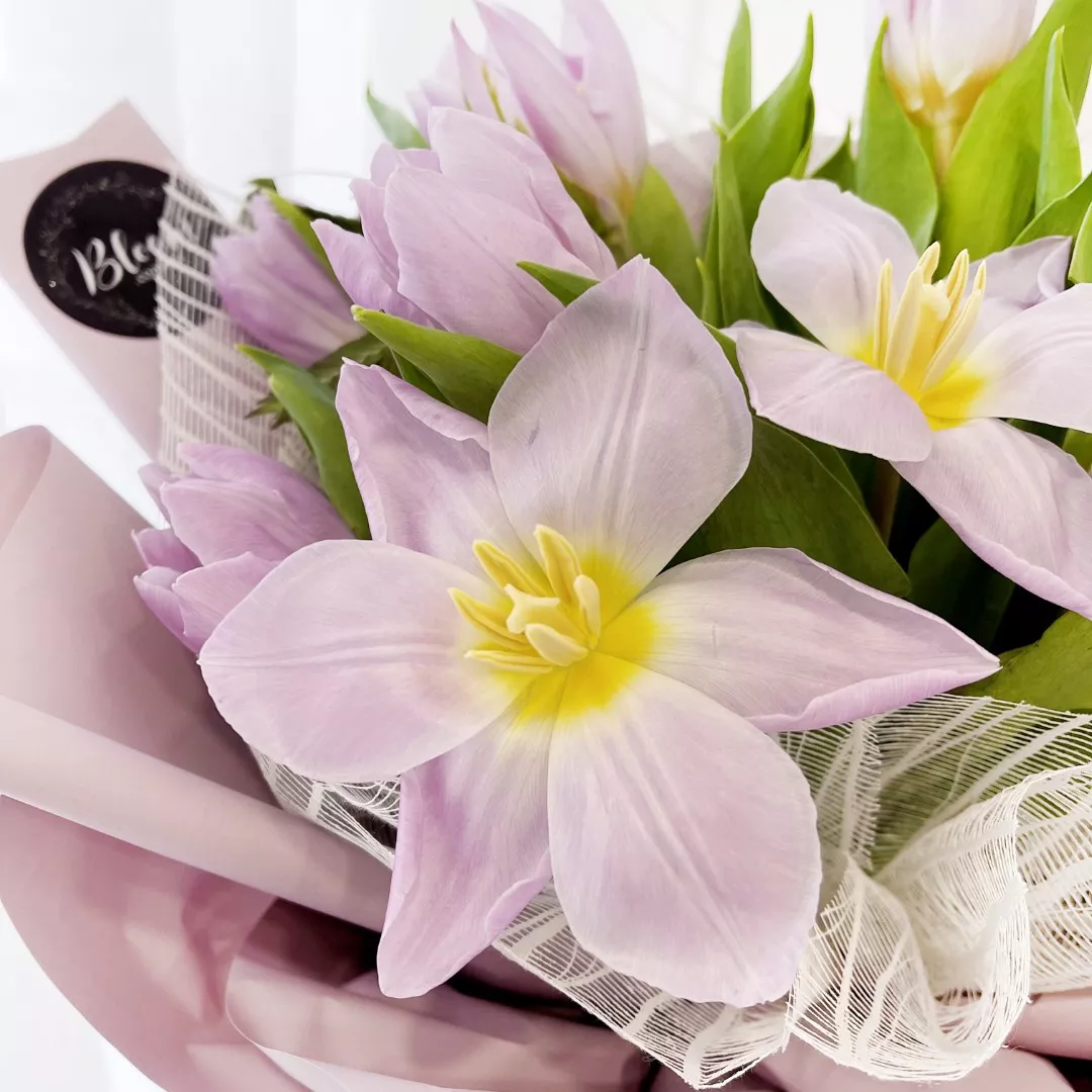 Tulip Hand Bouquet 05