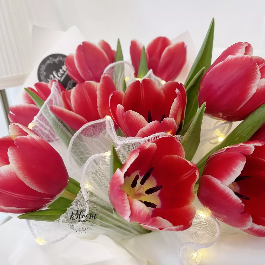 Tulip Hand Bouquet 06