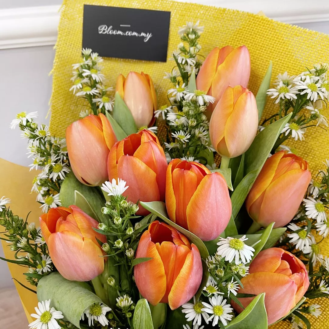 Tulip Hand Bouquet 09