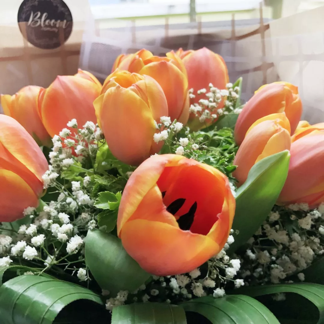 Tulip Hand Bouquet 12