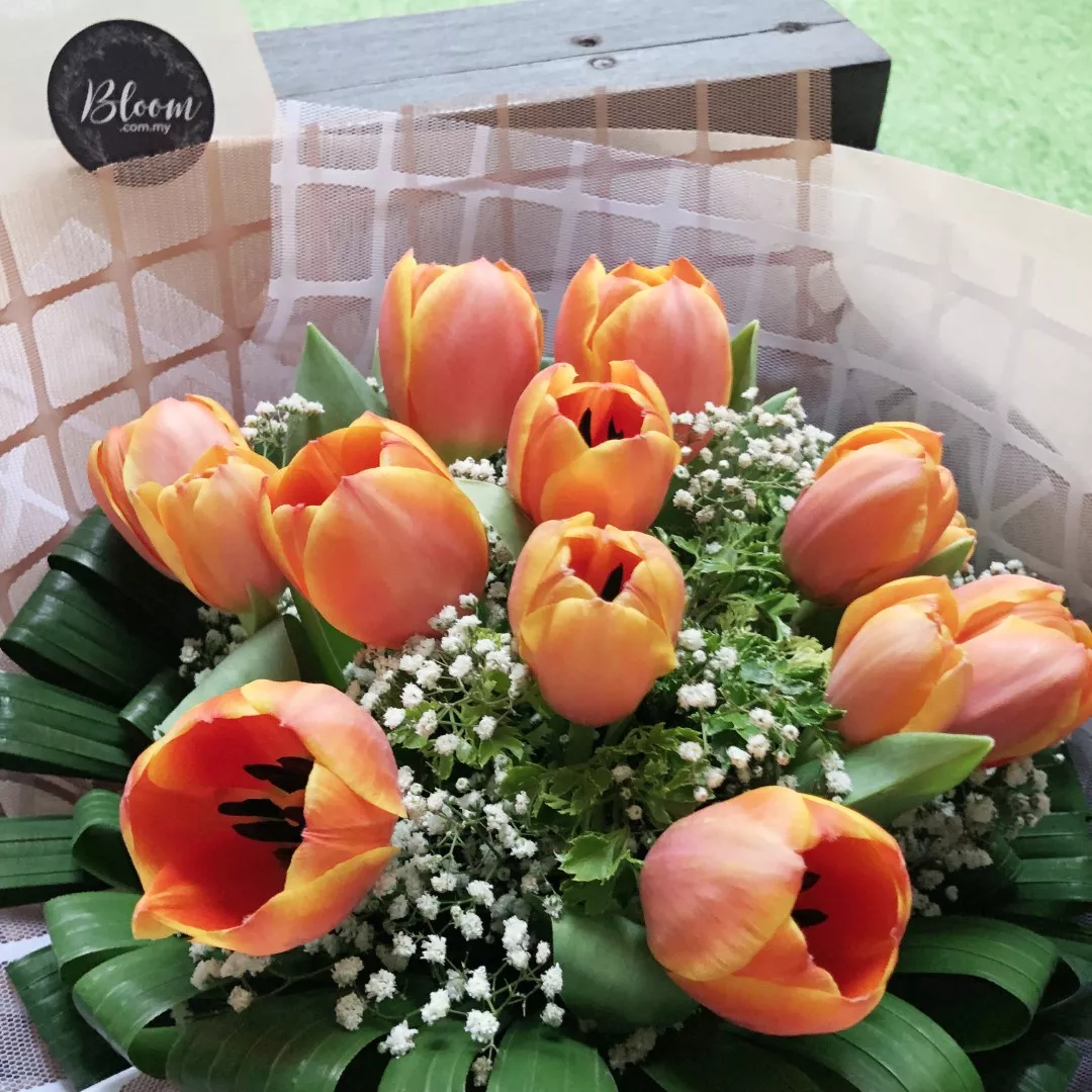 Tulip Hand Bouquet 12