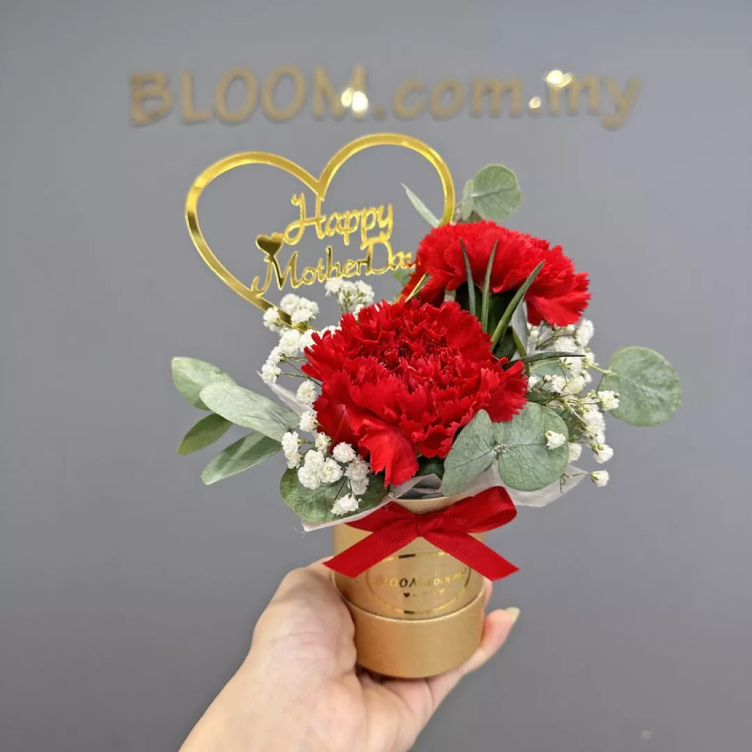 Mother’s Day Promotion 03