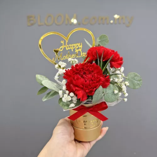 Mother’s Day Promotion 03