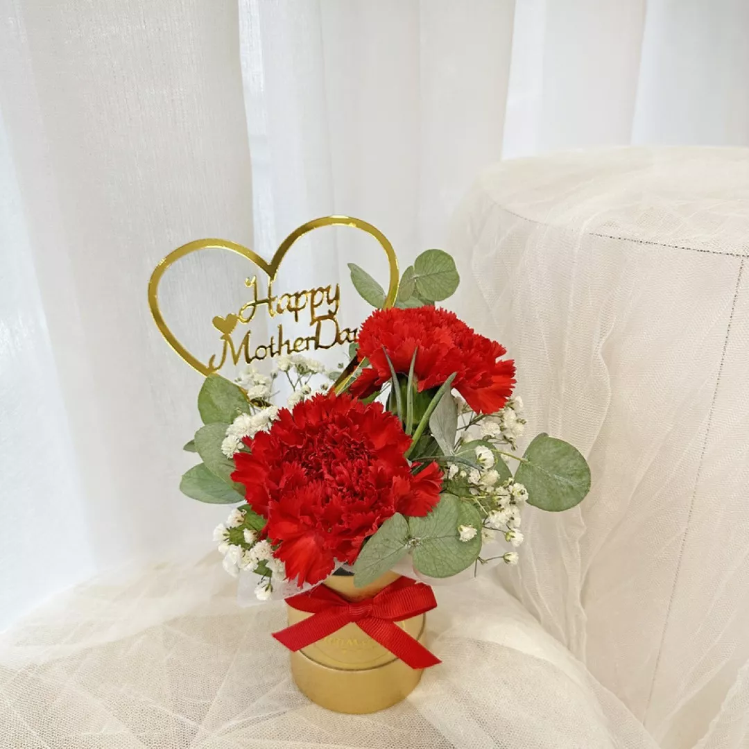Mother’s Day Promotion 03