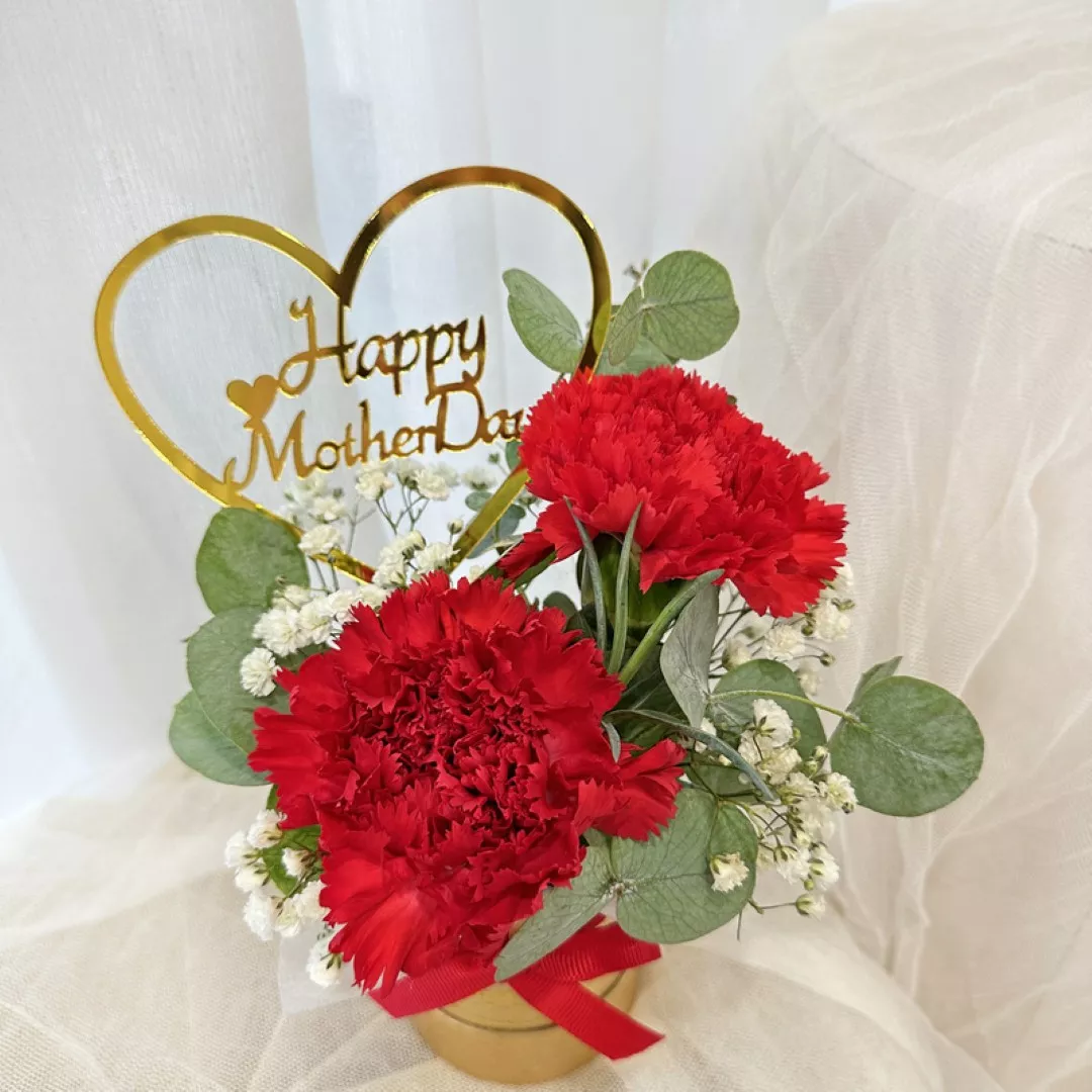 Mother’s Day Promotion 03