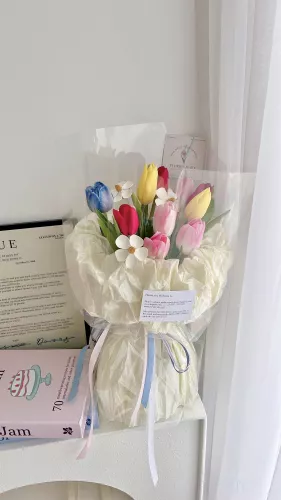 Rainbow tulip (S)