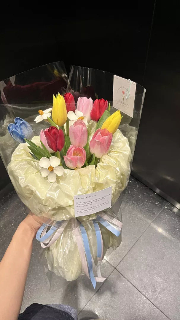 Rainbow tulip (S)