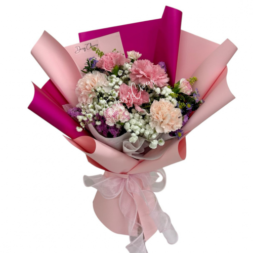 Carnation Dream Bouquet HB595