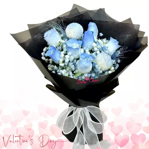 Midnight Azure VD2609