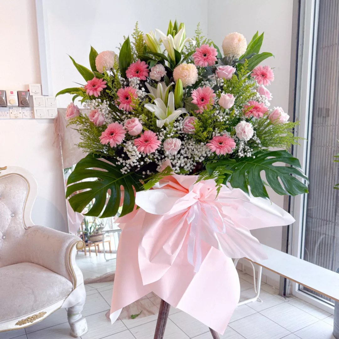 Opening Stand | Opening Stand 79