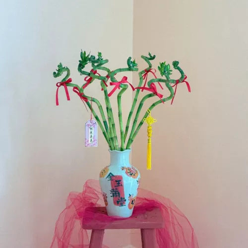 CNY 2026 | Prosperity in Progress 鸿运步升