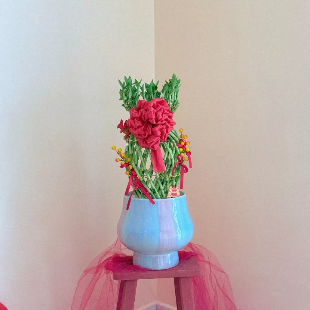 CNY 2026 | Evergreen Prosperity 福运常青