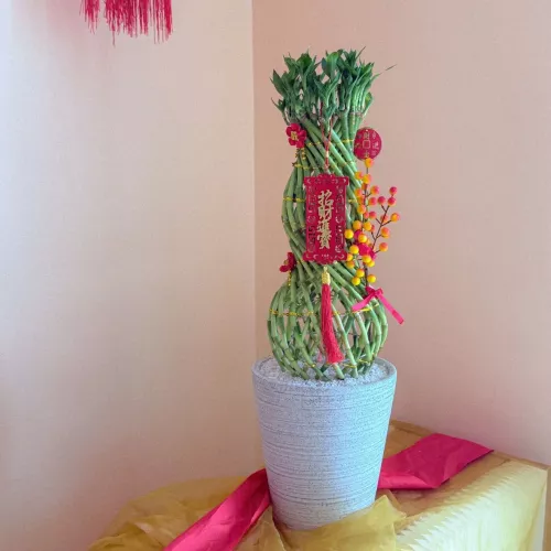 CNY 2026 | Harmony & Lasting Fortune 顺运安长