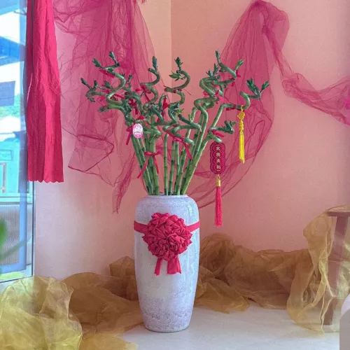 CNY 2026 | Auspicious Fortune Rising 瑞气盈升