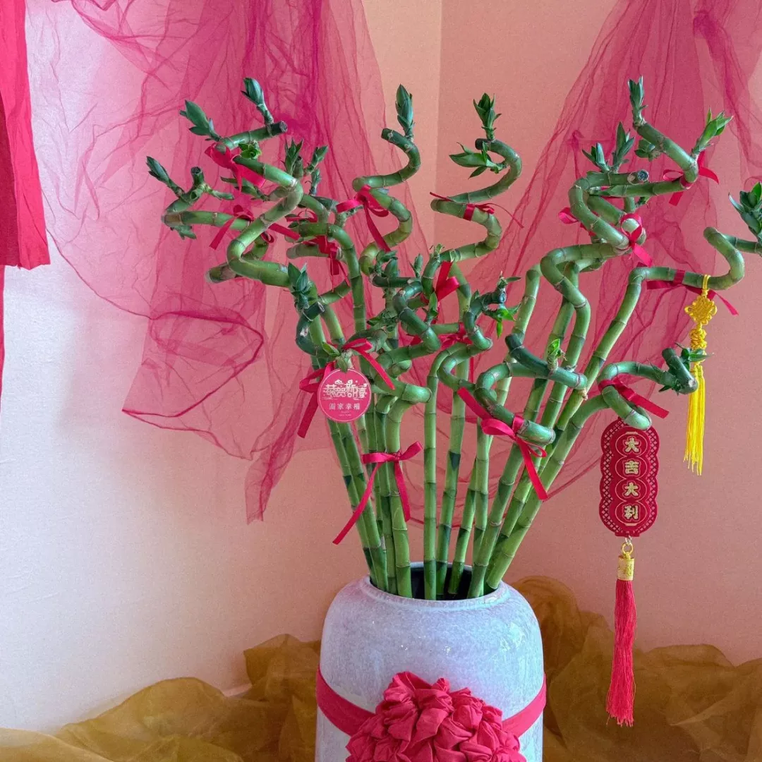 CNY 2026 | Auspicious Fortune Rising 瑞气盈升